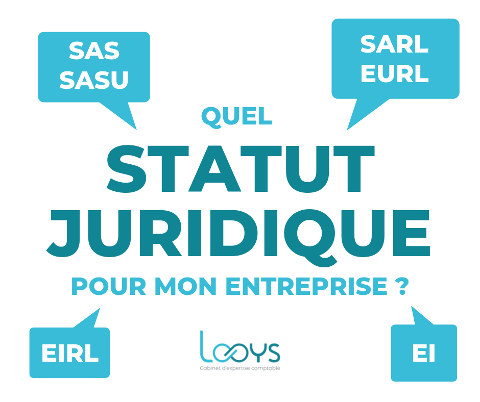 Quel Statut Juridique Choisir Pour Son Entreprise Looys 